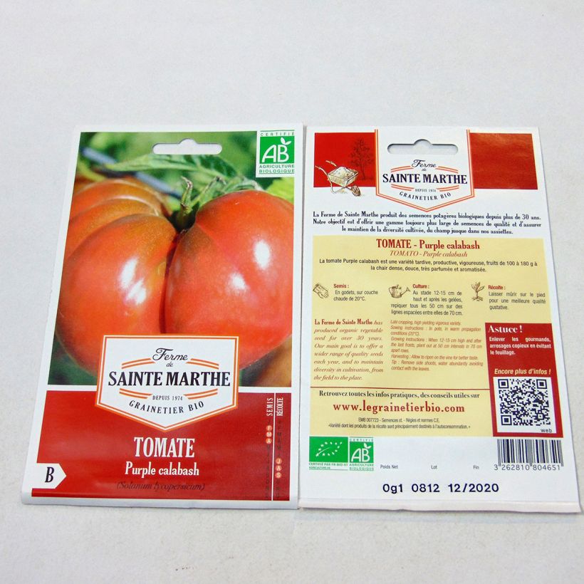 Beispiel eines Exemplars von Tomate Purple Calabash Bio wie geliefert