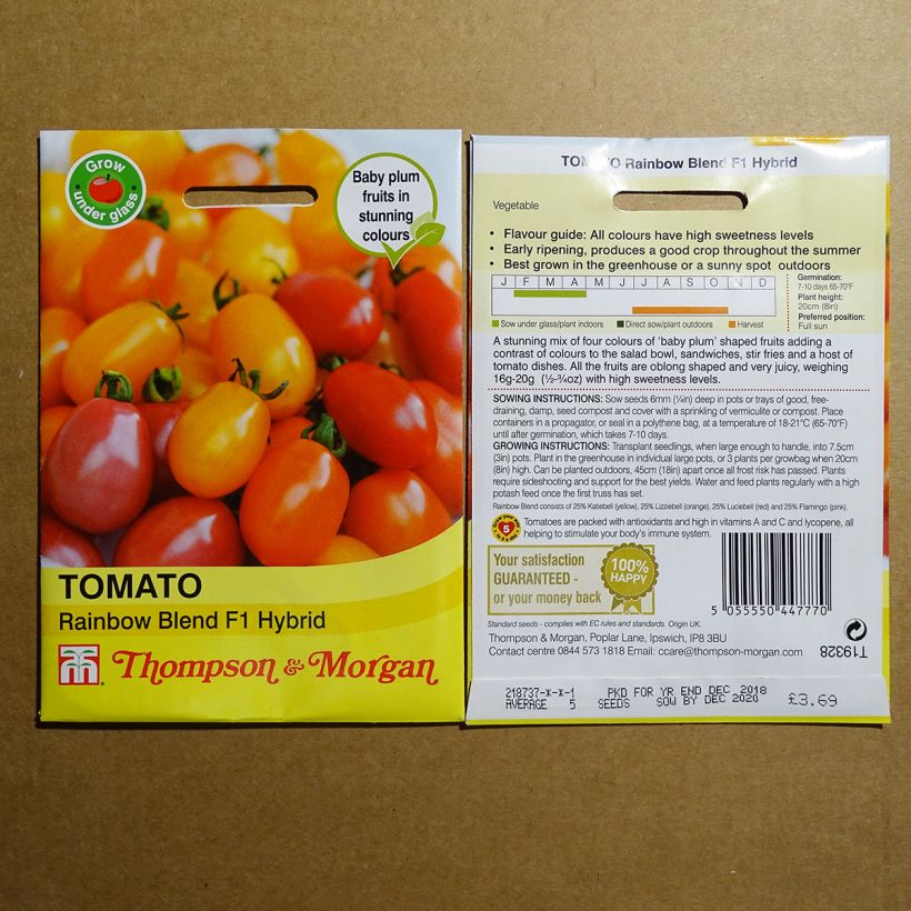 Beispiel eines Exemplars von Tomate Rainbow Blend wie geliefert