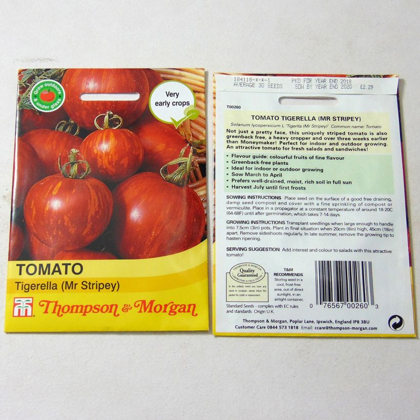 Beispiel eines Exemplars von Tomate Tigerella wie geliefert