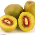 Gelbe Kiwis