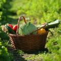 Gemüsegarten nach Marke