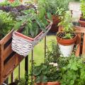 Gemüsegarten auf Terrasse und Balkon